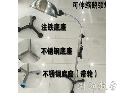 落地蛇形灯