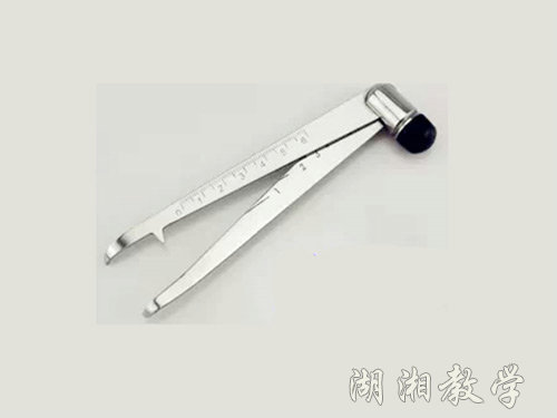 听诊锤