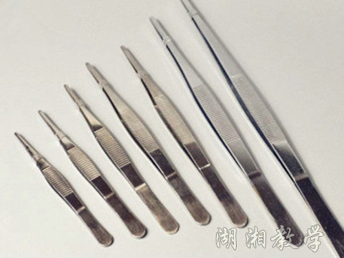 不锈钢镊子